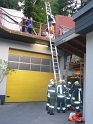 bild (7)